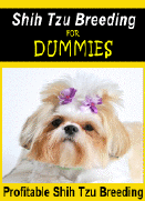 How to Breeding Shih Tzus