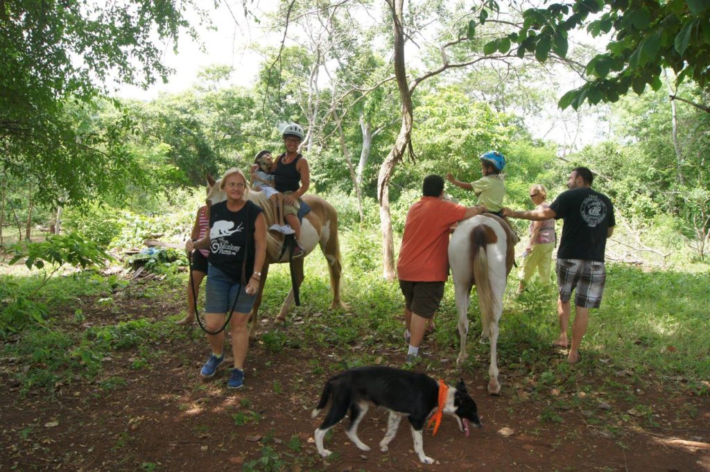 Contact Vicki Conley in Costa Rica for Free Equine Therapy